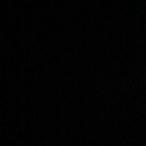 Meet your Posher, Bridget